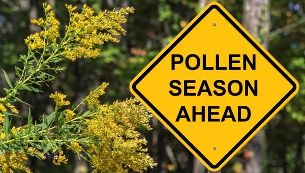 polen alerji zamani