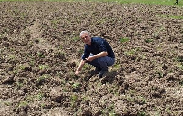 Görevden Alınan HDP'li Belediye Başkanı Bekir Polat'ın Koronavirüs Testi Pozitif Çıktı