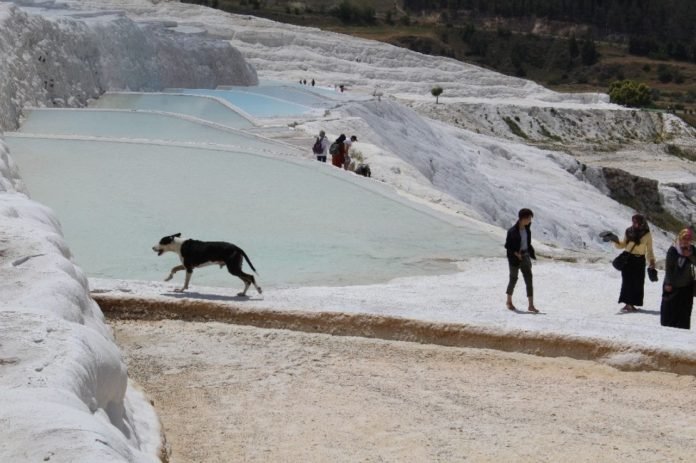 Pamukkale Aylar Sonra Kapılarını Açtı