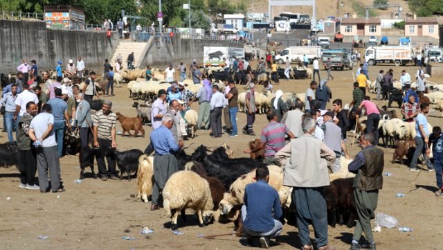 Diyarbakır'daki Kurbanlık Pazarlarında Tedbirler Hiçe Sayıldı