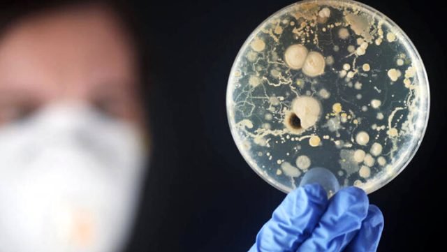 Uzmanlardan Beyin Yiyen Amipin Neden Olduğu Hastalık İçin "Gözdeki En Ufak Kızarıklıkta Hekime Başvurun" Uyarısı