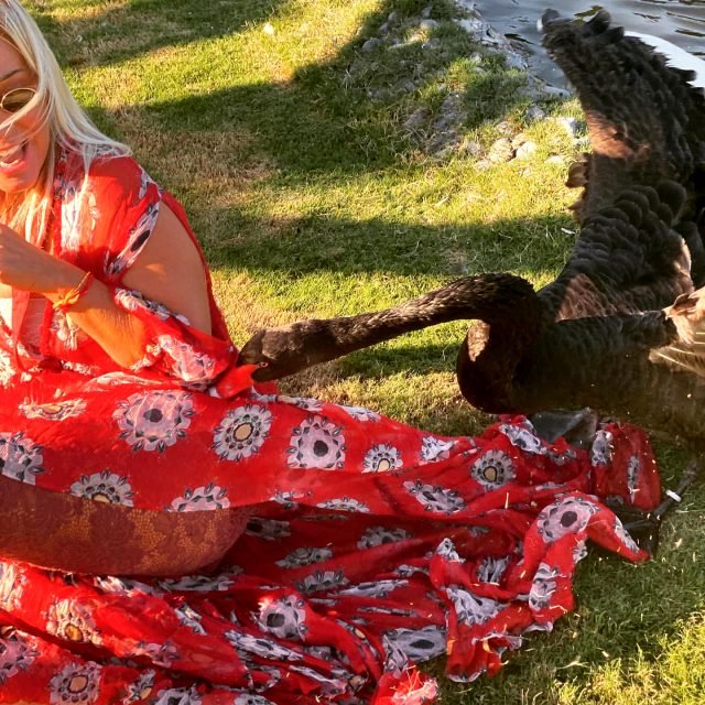 Saba Tümer, Sevmek İstediği Siyah Kuğunun Saldırısına Uğradı