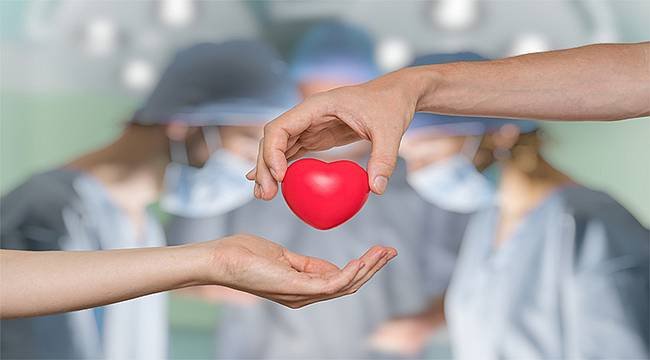 Pandemi Sürecinde Organ Bağışı Hakkında Bilinmesi Gerekenler
