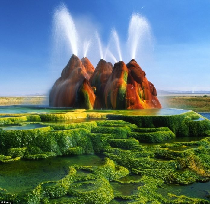 Fly-Geyser