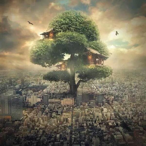 Tabiat Ana ile Anlasmaya Var Misiniz