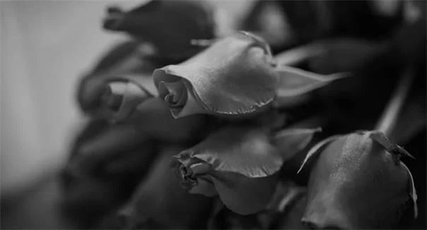 14 Şubat Sevgililer Günü öncesi çiçekçi esnafında mesai yoğun.1