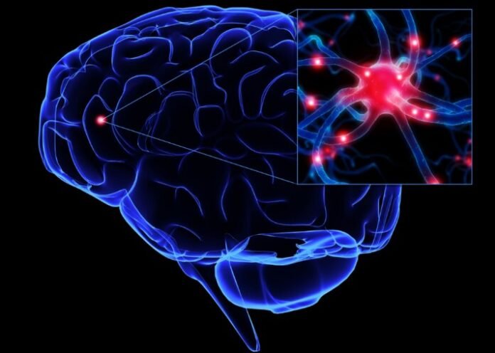 Covid-19 sinir sistemi