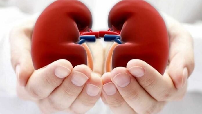 Duzenli bobrek kontrolu