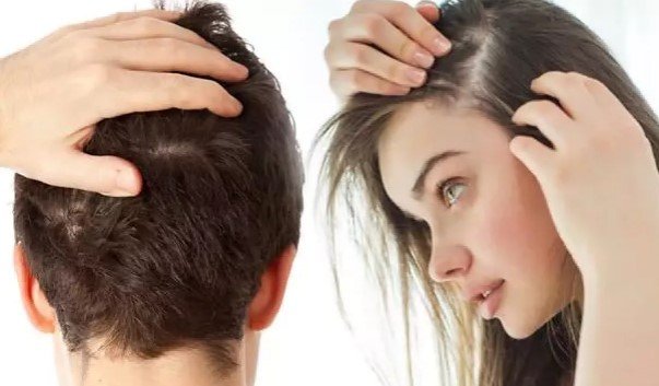 mevsimsel sac dokulmesi