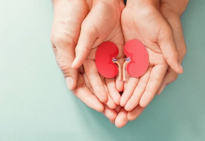 turkiyede bobrek hastaligi