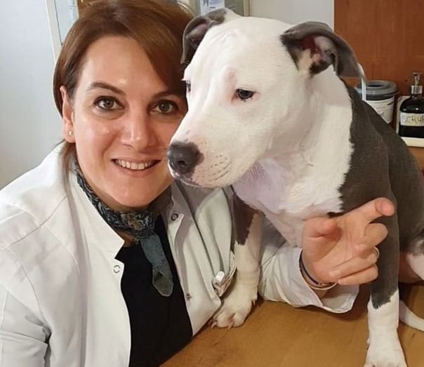 Evcil hayvaninizla uyumak güvenli mi