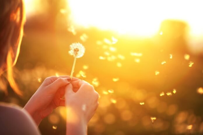 Once sen meme kanseri