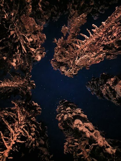 En canlı gece fotoğrafları için 7 ipucu