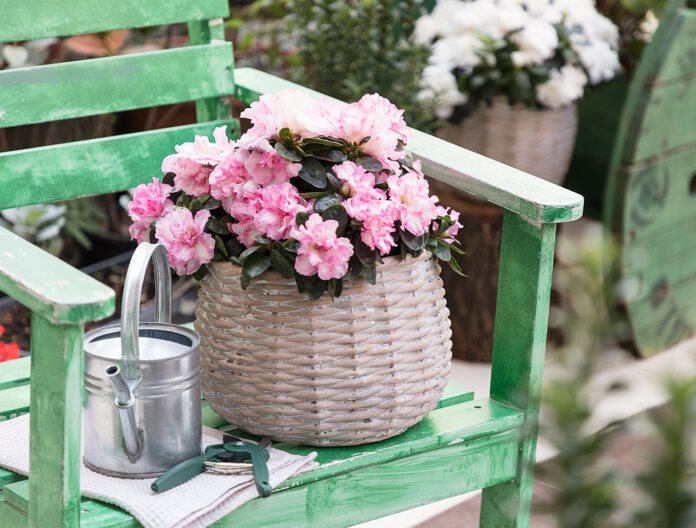 Madame Coco Ürünleri, Balkon Dekorasyonu