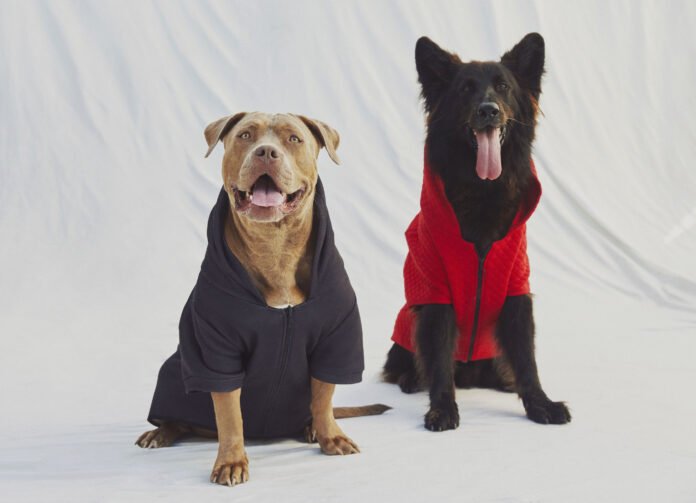 Koton_Love_Koleksiyonu__3_