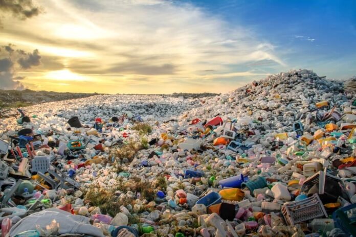 Plastikler Anne Karnına, İnsan Kanına Kadar Girdi!